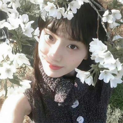 有趣的小兔子